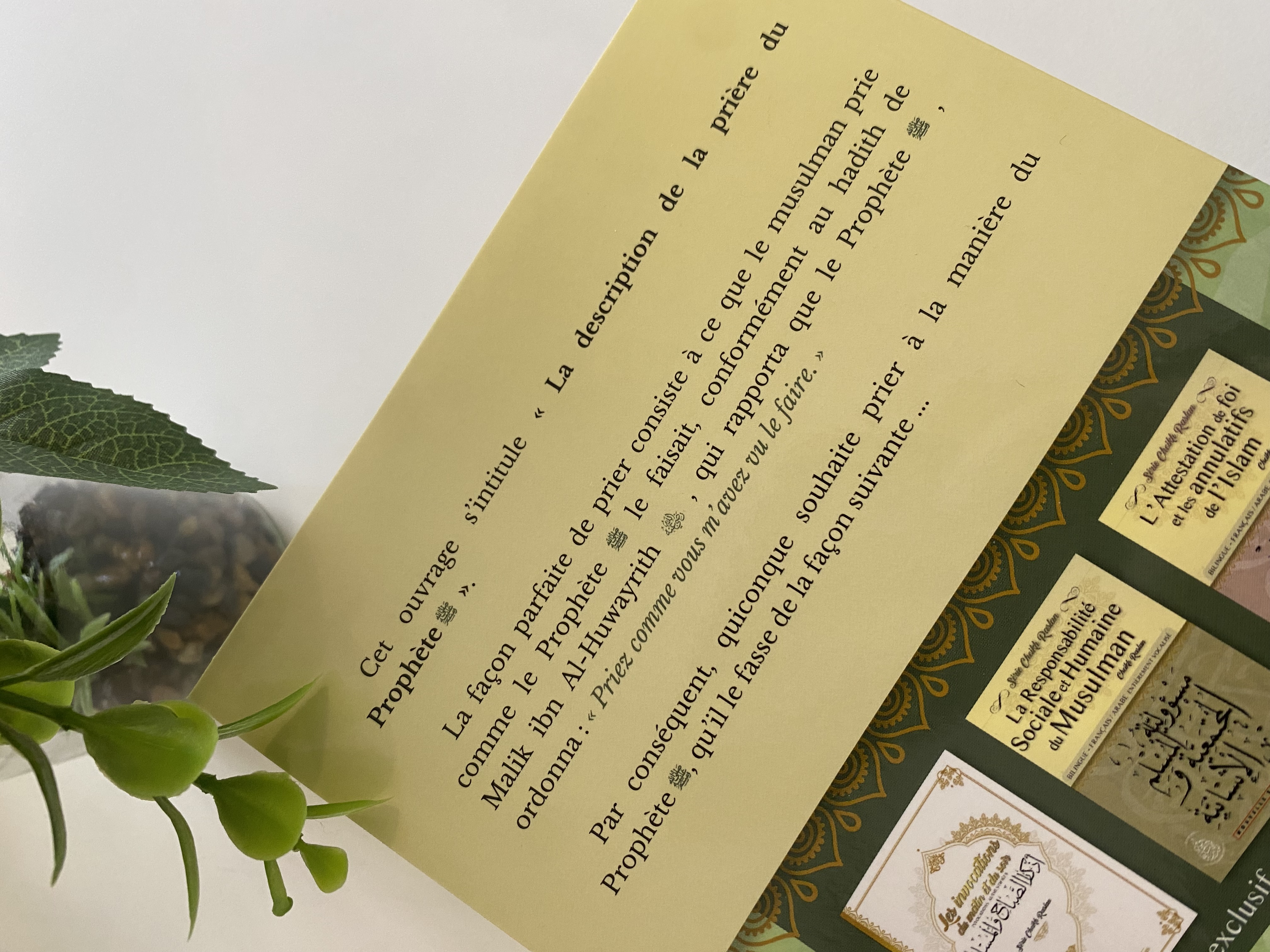 La description de la prière du prophète  ﷺ — Kitaberie, vue produit vue 2
