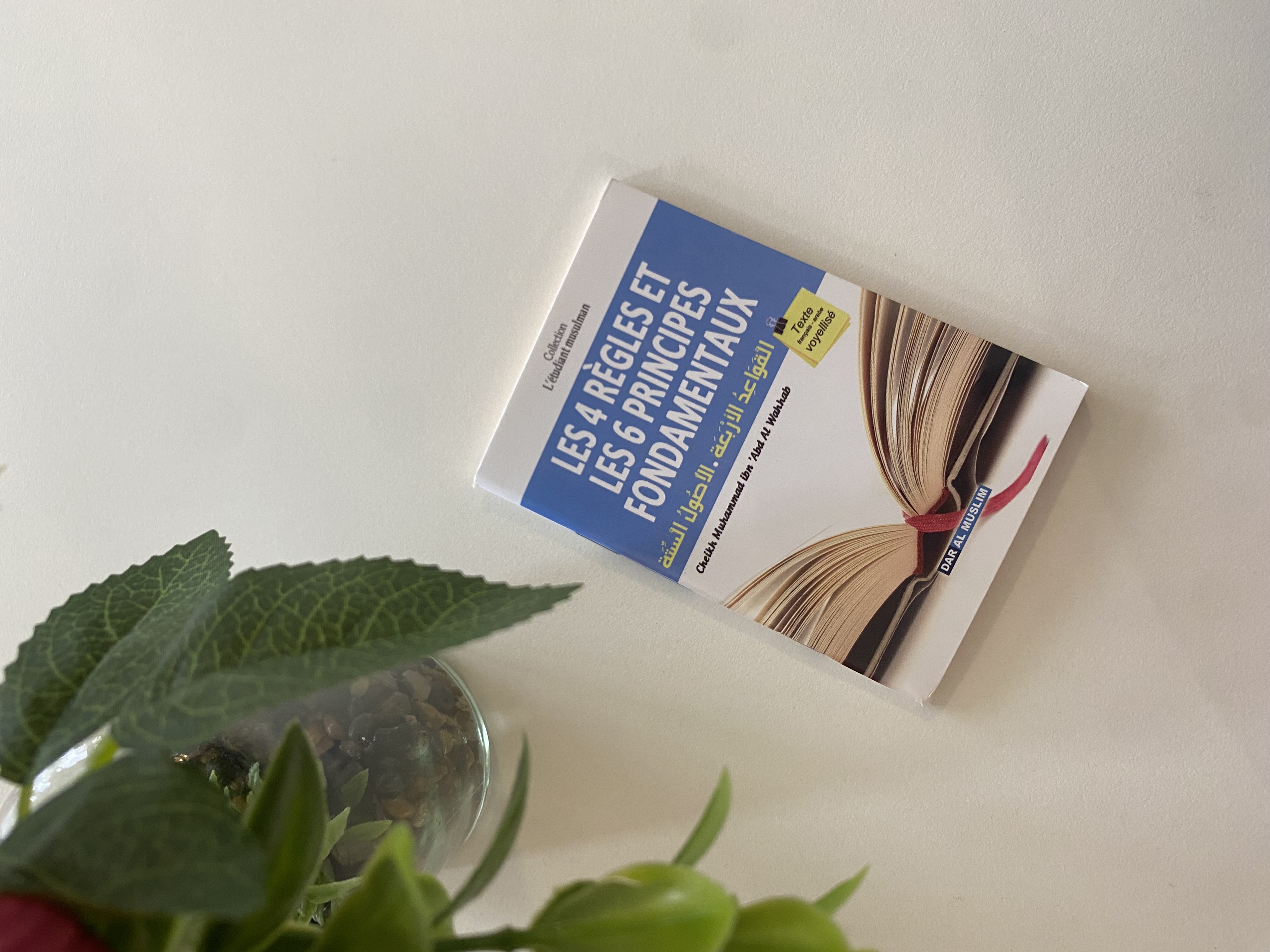 Matn : Les 4 réglés et les 6 principe fondamentaux  — Kitaberie, vue produit