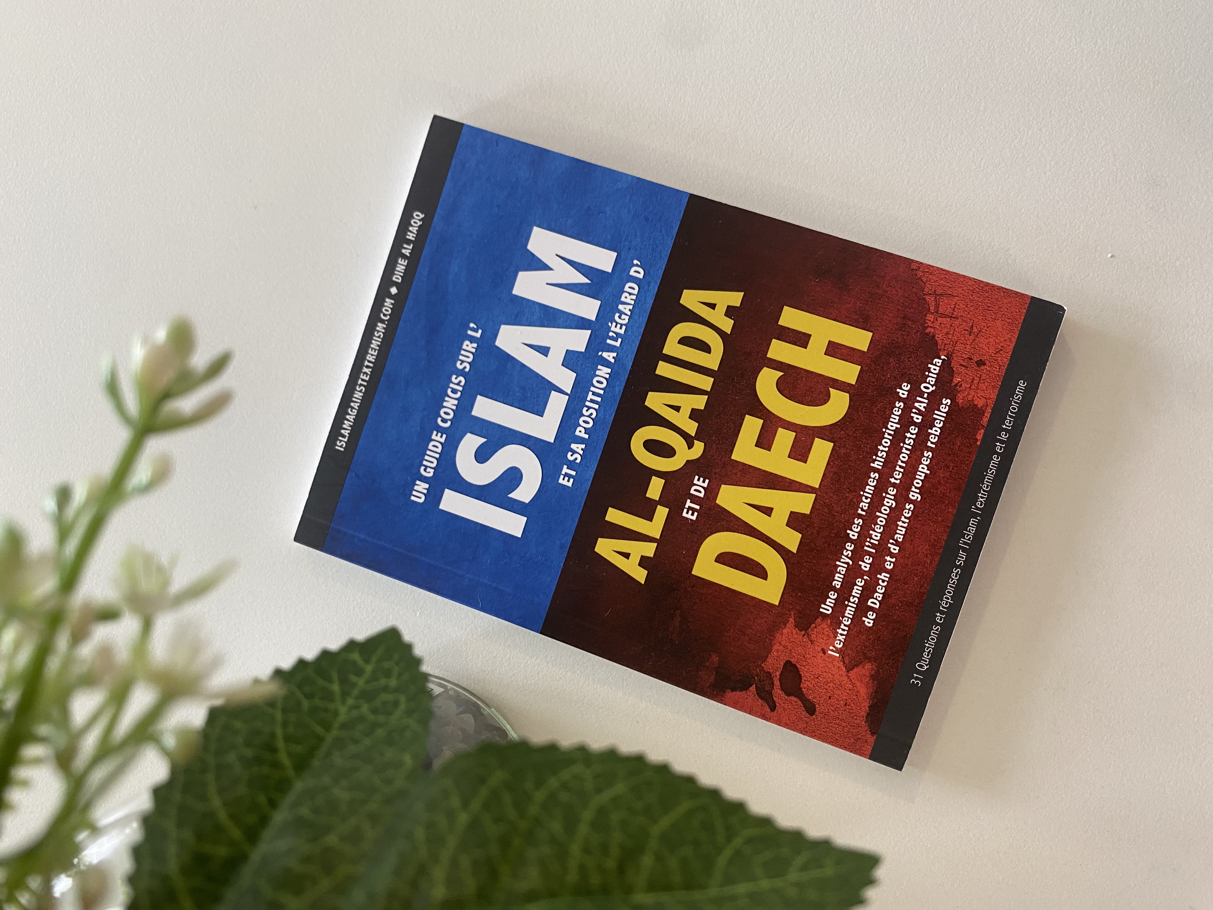 Un guide concis sur l'Islam et sa position à l'égard d'al qaida et de daesh    — Kitaberie, vue produit