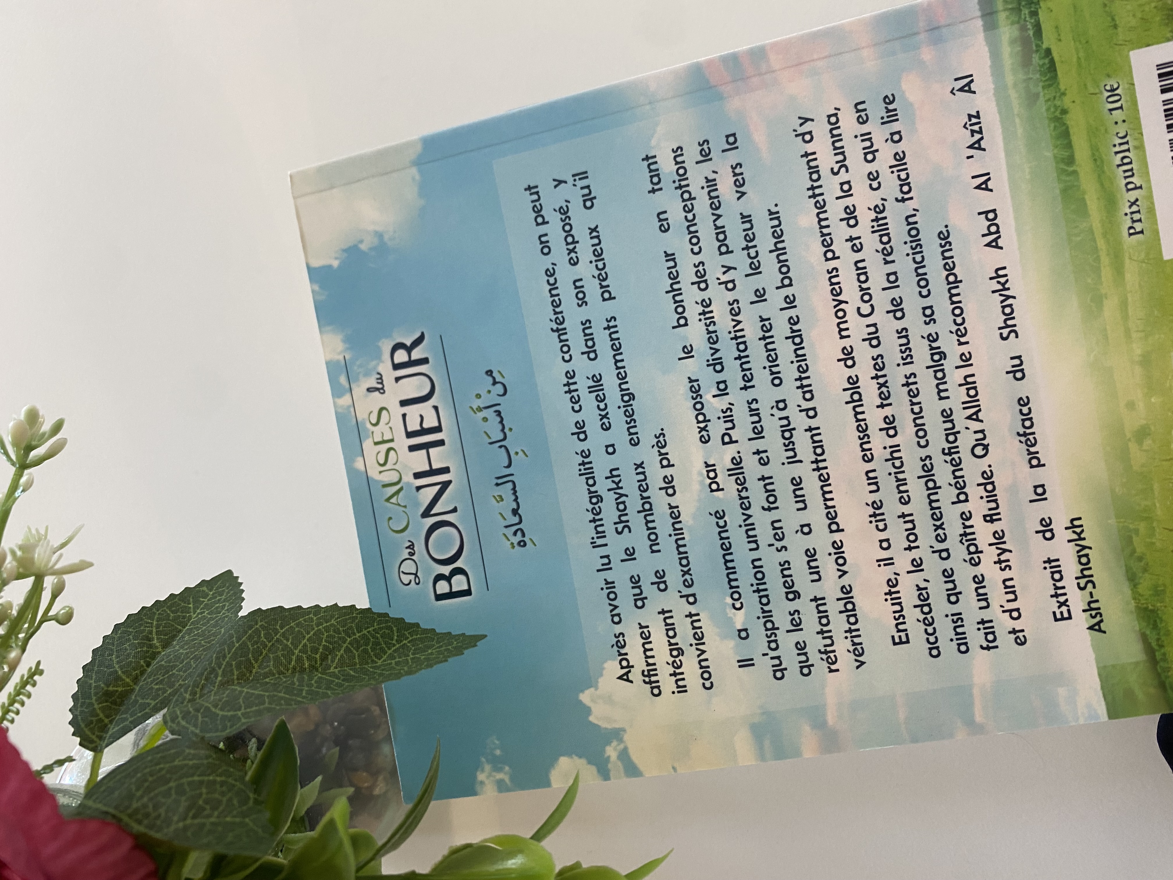 Des causes du bonheur  — Kitaberie, vue produit vue 2