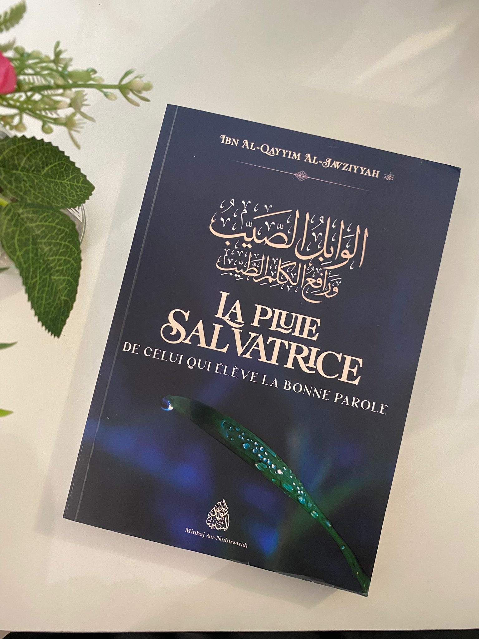 La pluie salvatrice — Kitaberie, vue produit