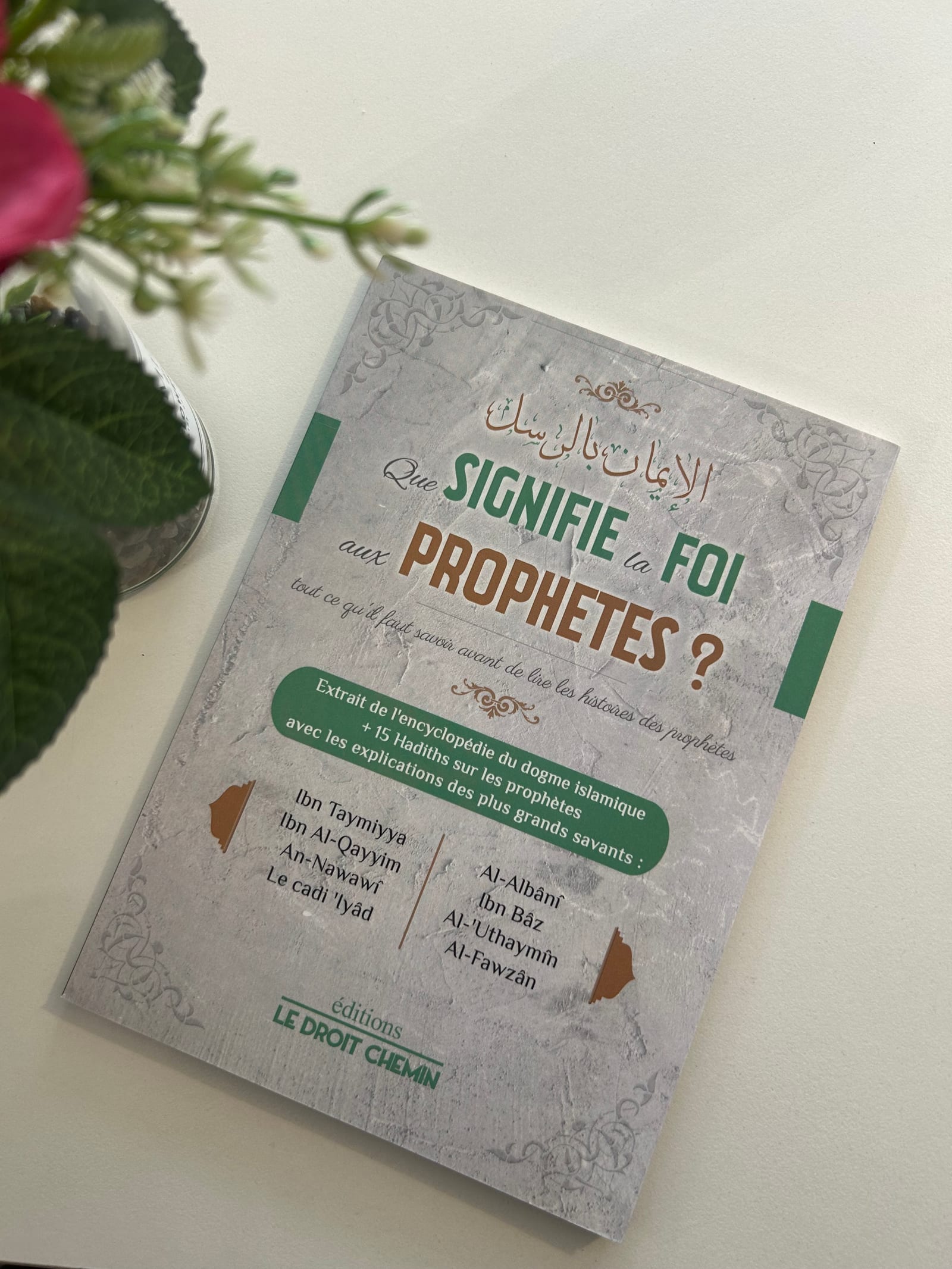 Que signifie la foi aux prophètes ? — Kitaberie, vue produit
