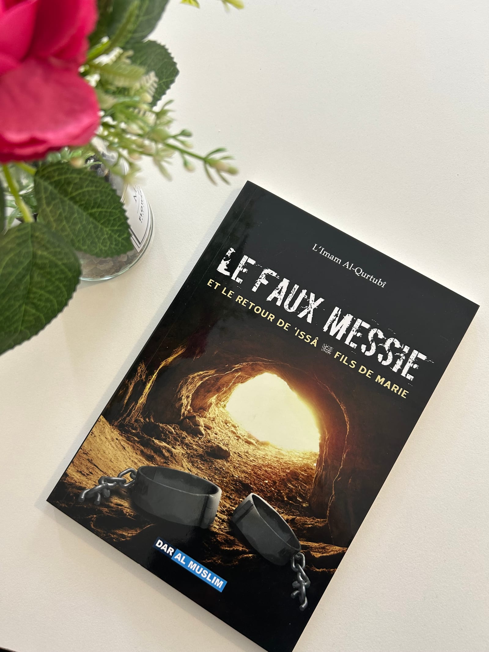 Le faux messie — Kitaberie, vue produit