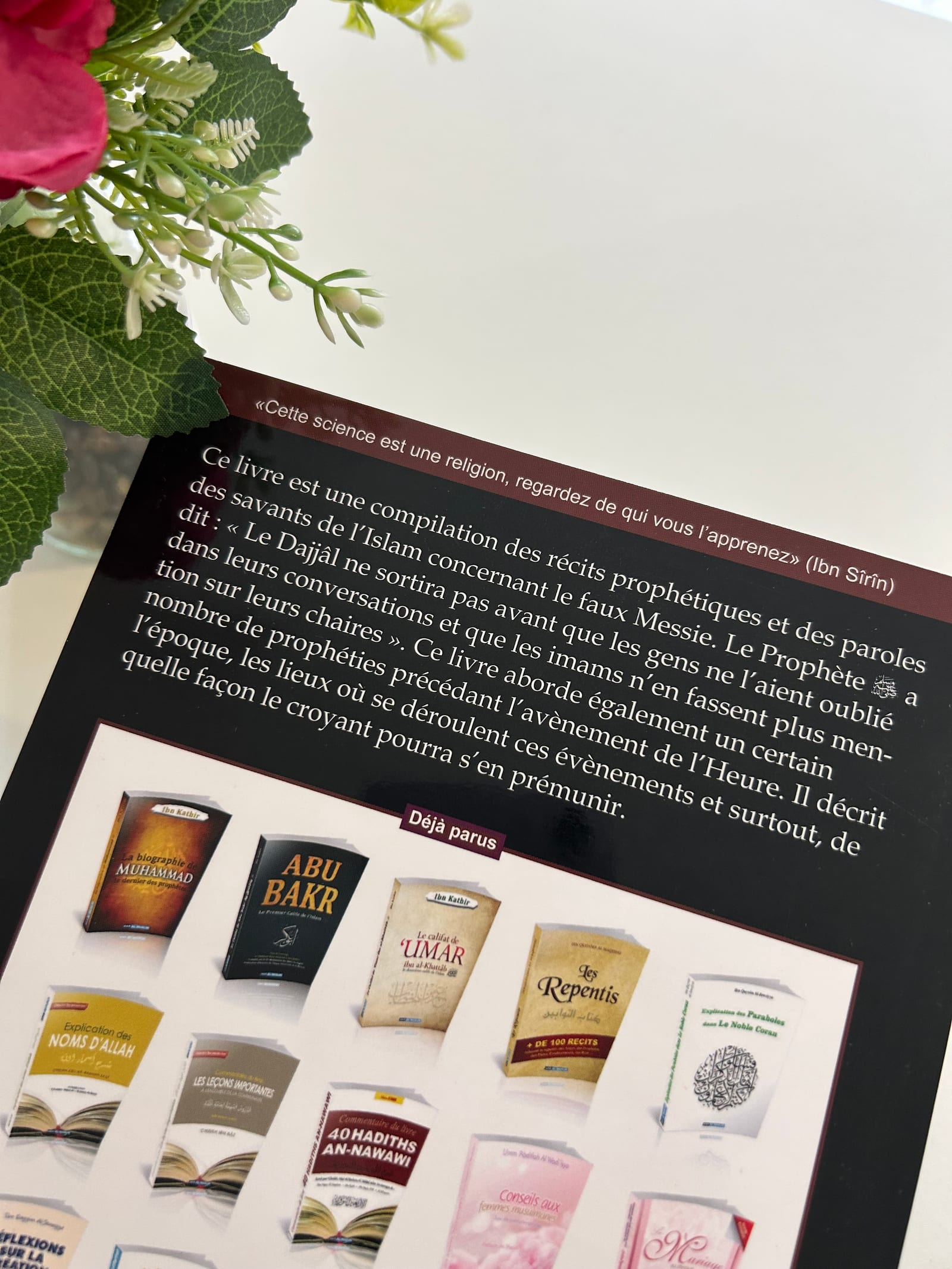 Le faux messie — Kitaberie, vue produit vue 2