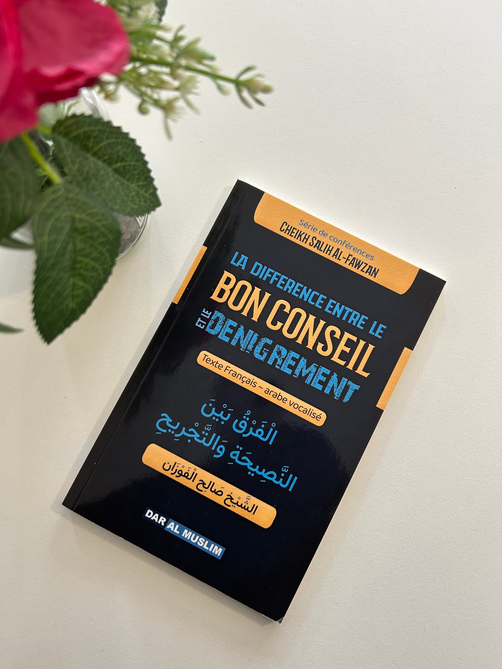 La différence entre le bon conseil et le dénigrement   — Kitaberie, vue produit