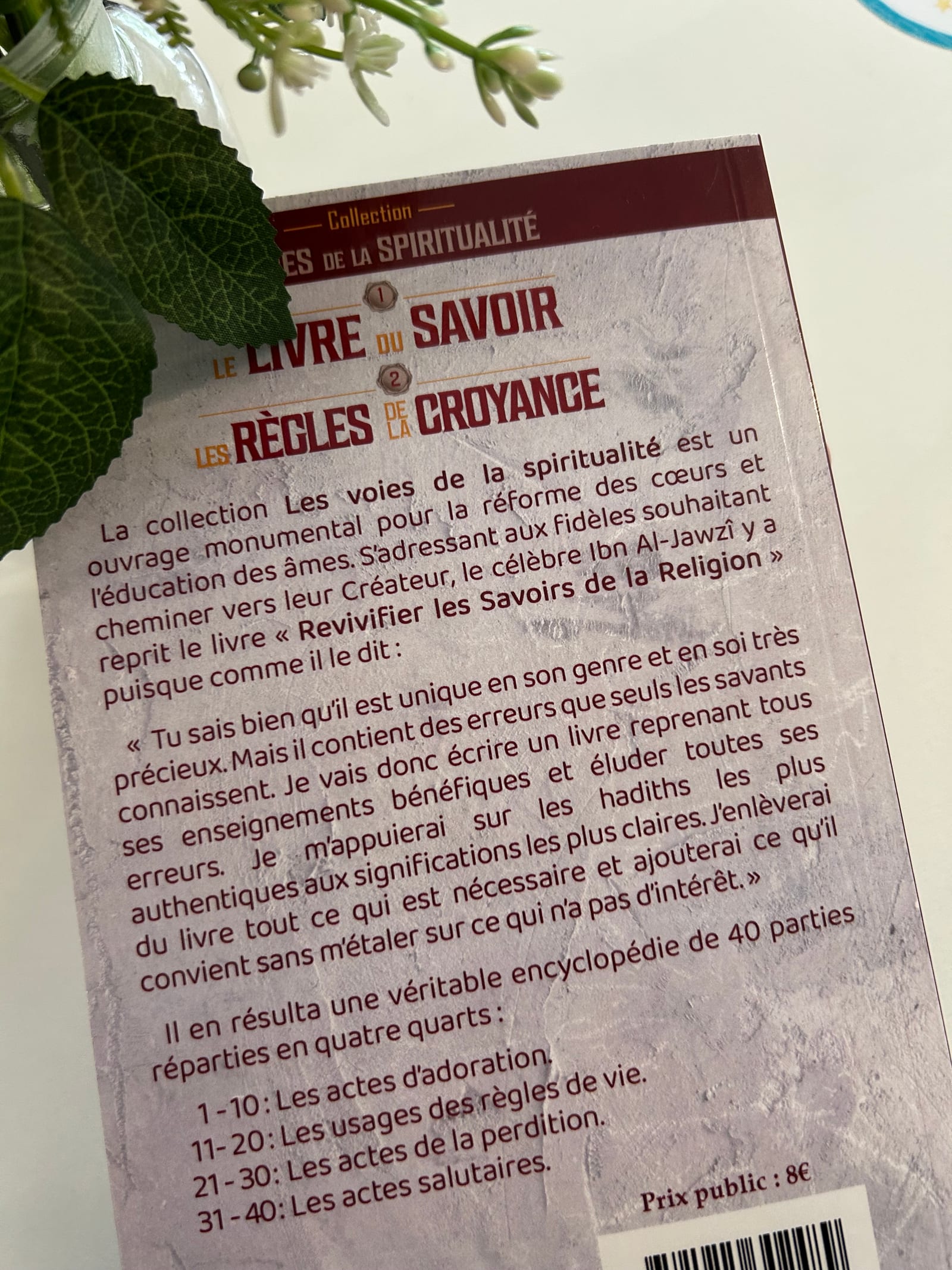 Le livre du savoir Les règles de la croyance  — Kitaberie, vue produit vue 2