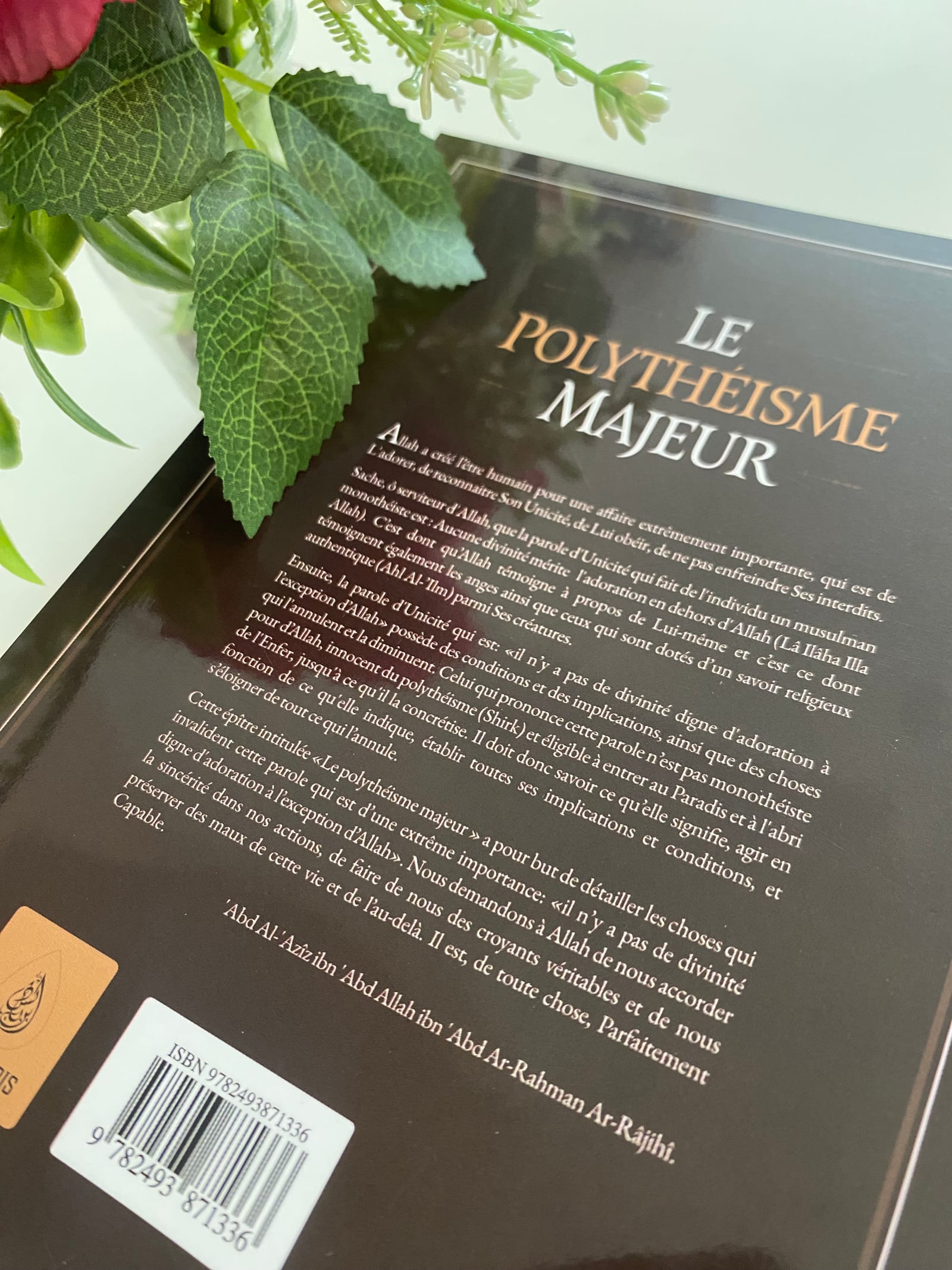 Le polythéisme majeur — Kitaberie, vue produit vue 2