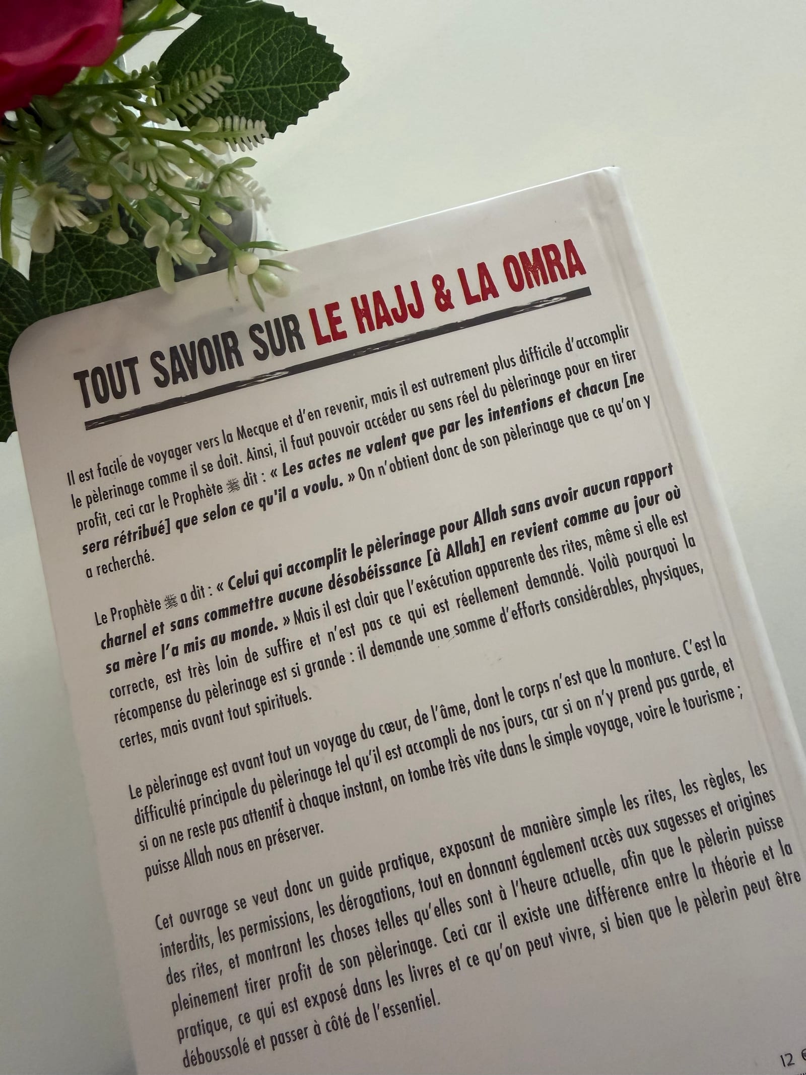 Tout savoir sur le hajj & la Omra  — Kitaberie, vue produit vue 2