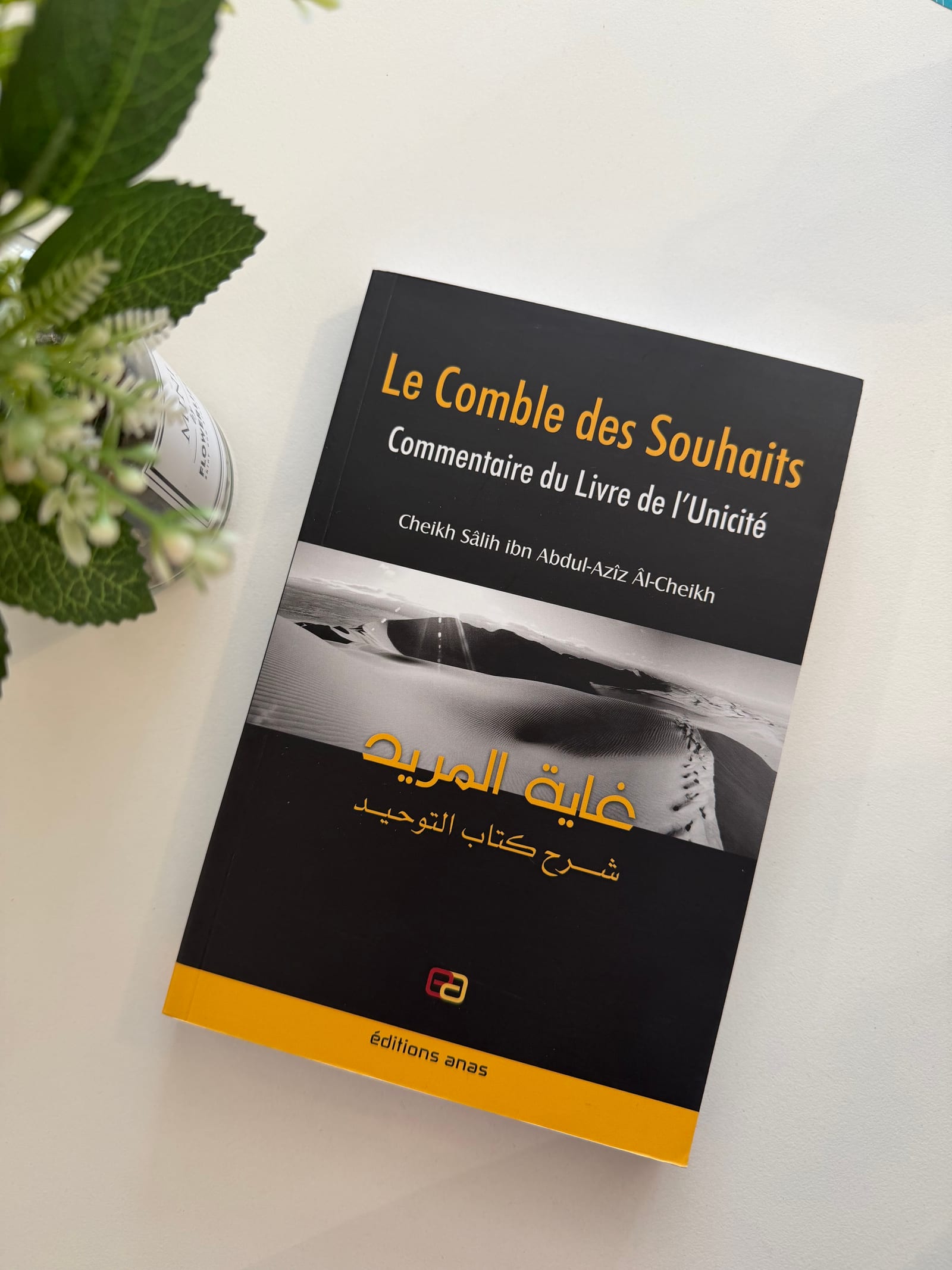 Le comble des souhaits commentaires du livre de l’unicité  — Kitaberie, vue produit