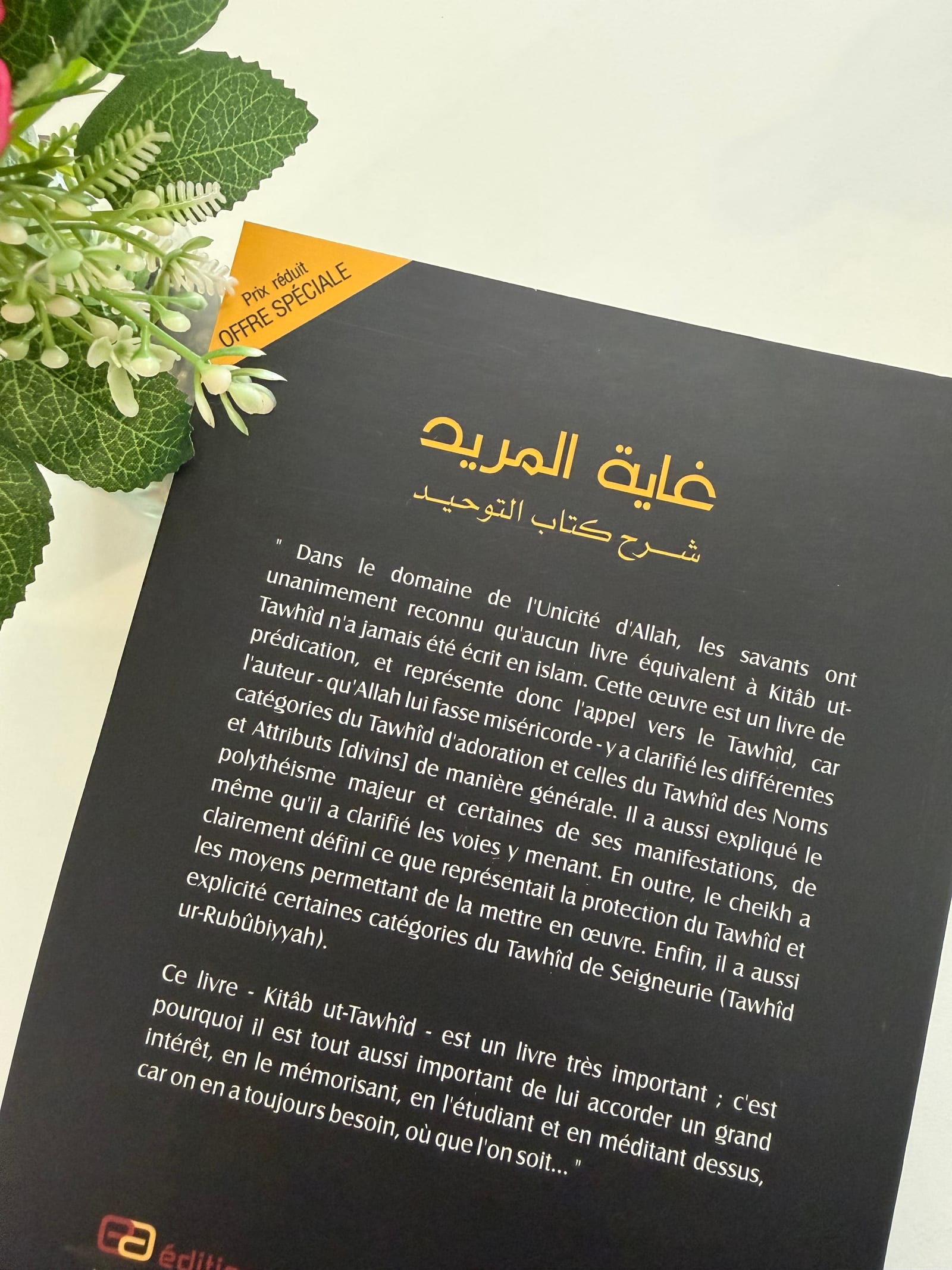 Le comble des souhaits commentaires du livre de l’unicité  — Kitaberie, vue produit vue 2