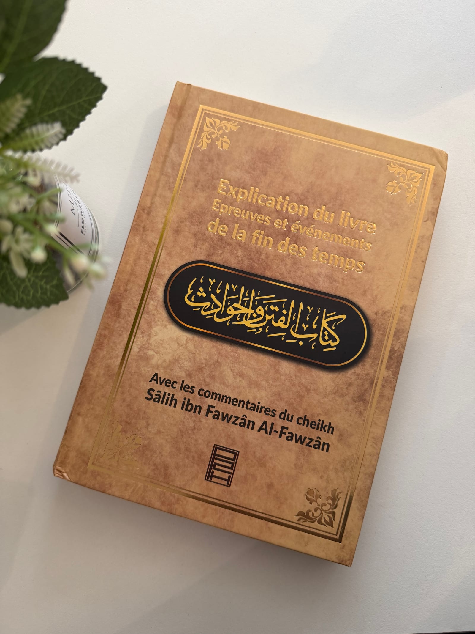 Explication du livre épreuves et événements de la fin des temps  — Kitaberie, vue produit