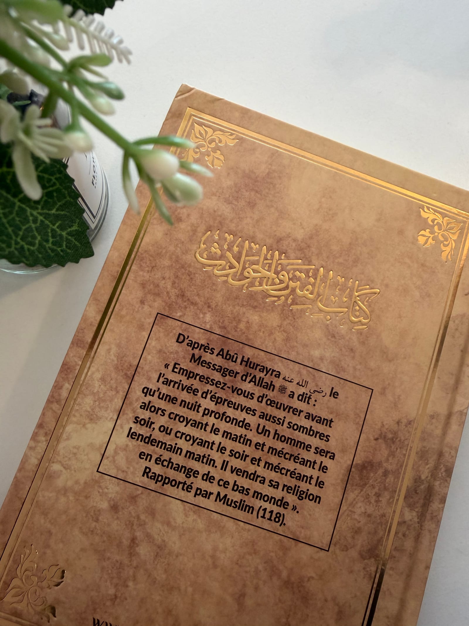 Explication du livre épreuves et événements de la fin des temps  — Kitaberie, vue produit vue 2