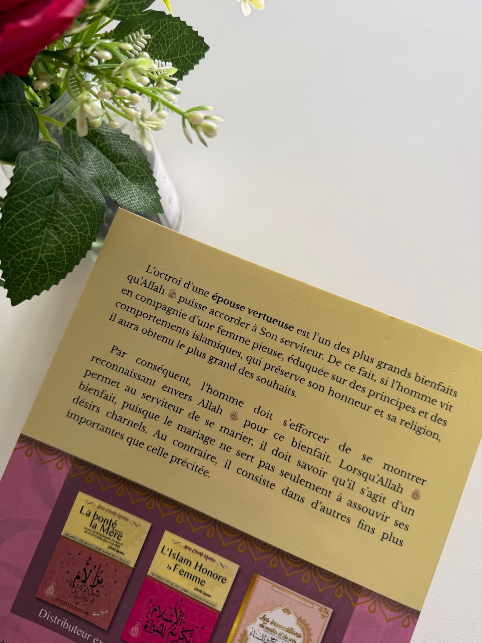 Le mariage bienfaits et bienséances  — Kitaberie, vue produit vue 2