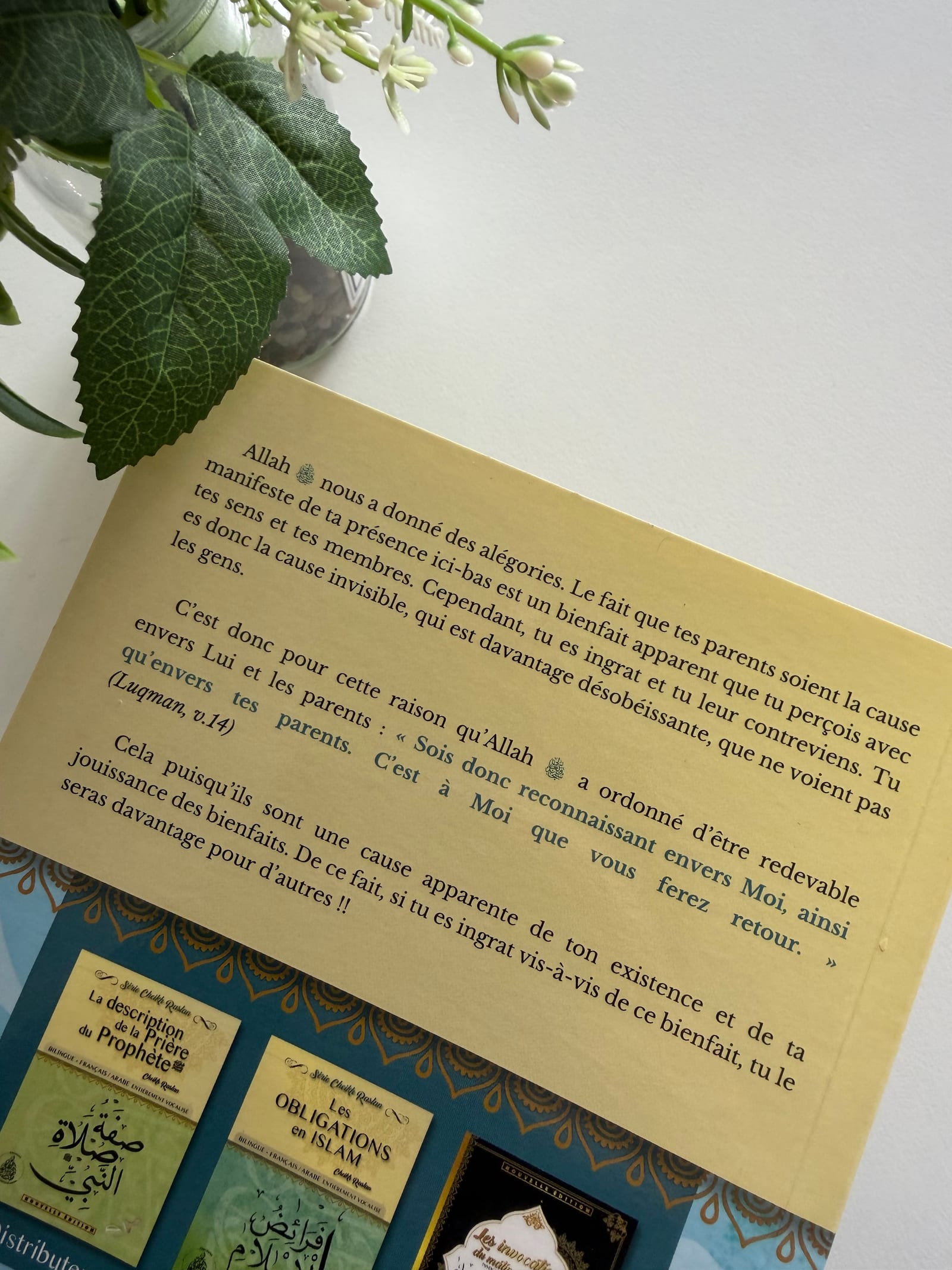 Le père porte médiane du paradis  — Kitaberie, vue produit vue 2