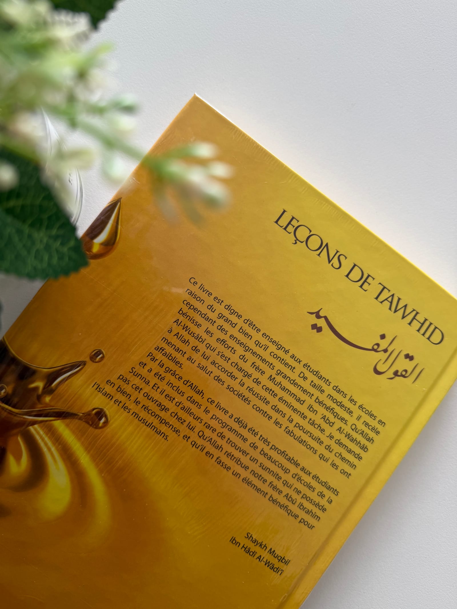 Leçons de tawhid  — Kitaberie, vue produit vue 2