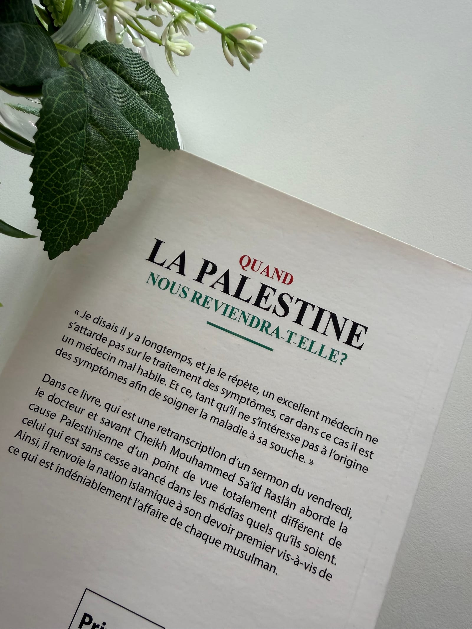 Quand la Palestine nous reviendra-t-elle ? — Kitaberie, vue produit vue 2