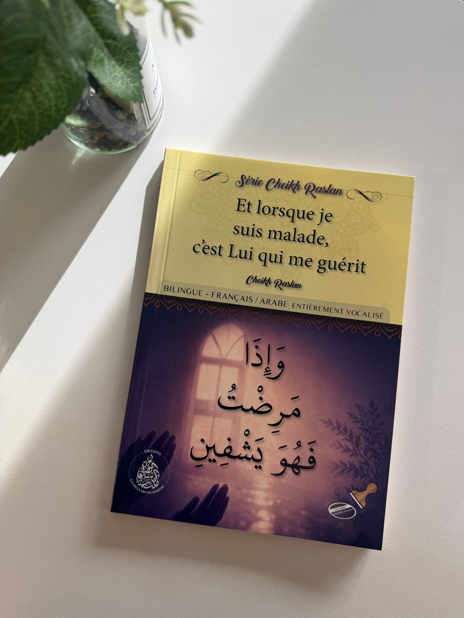 Et lorsque je suis malade, c’est lui qui me guérit  — Kitaberie, vue produit