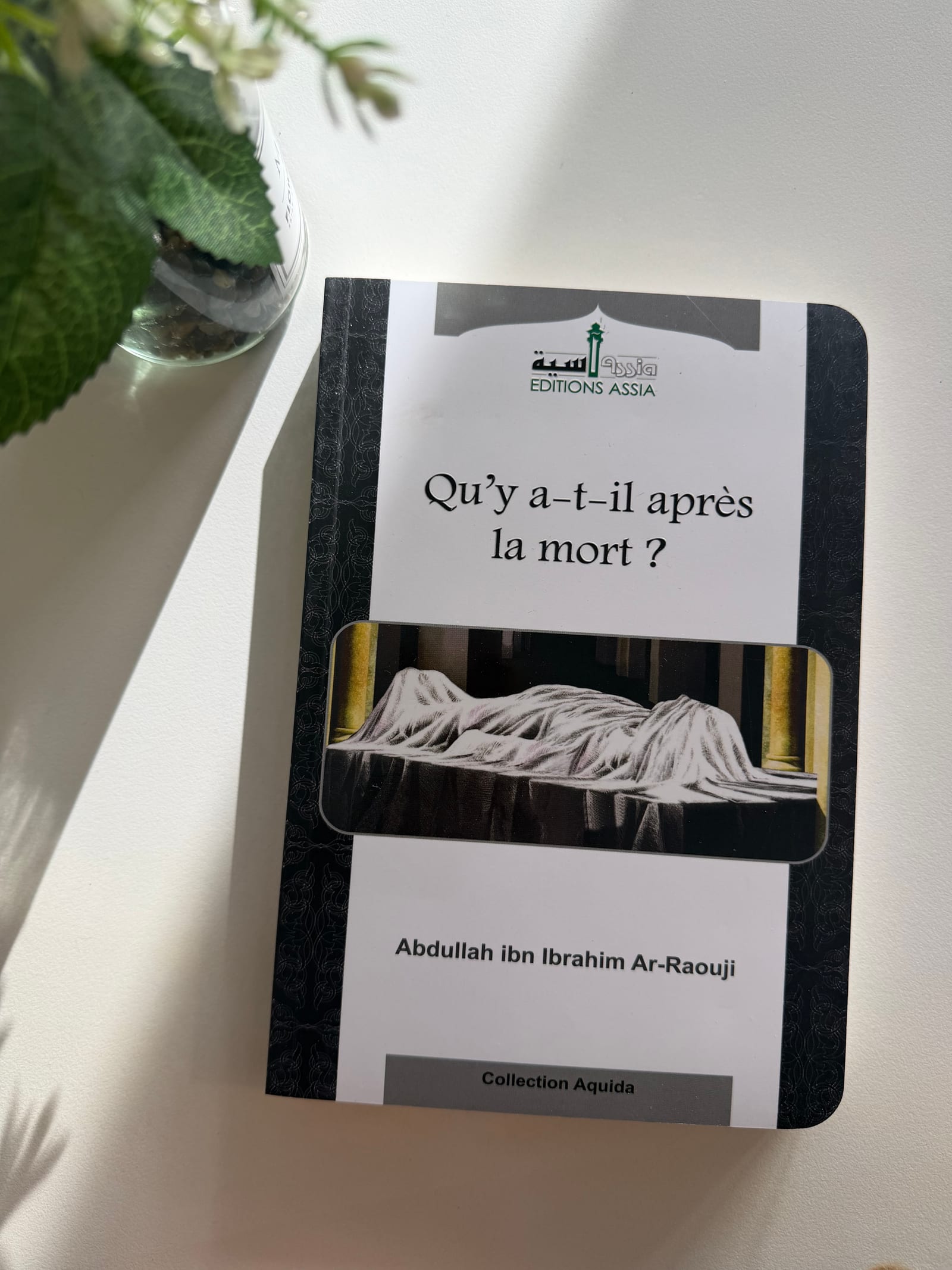Qu’y a-t-il après la mort ? — Kitaberie, vue produit