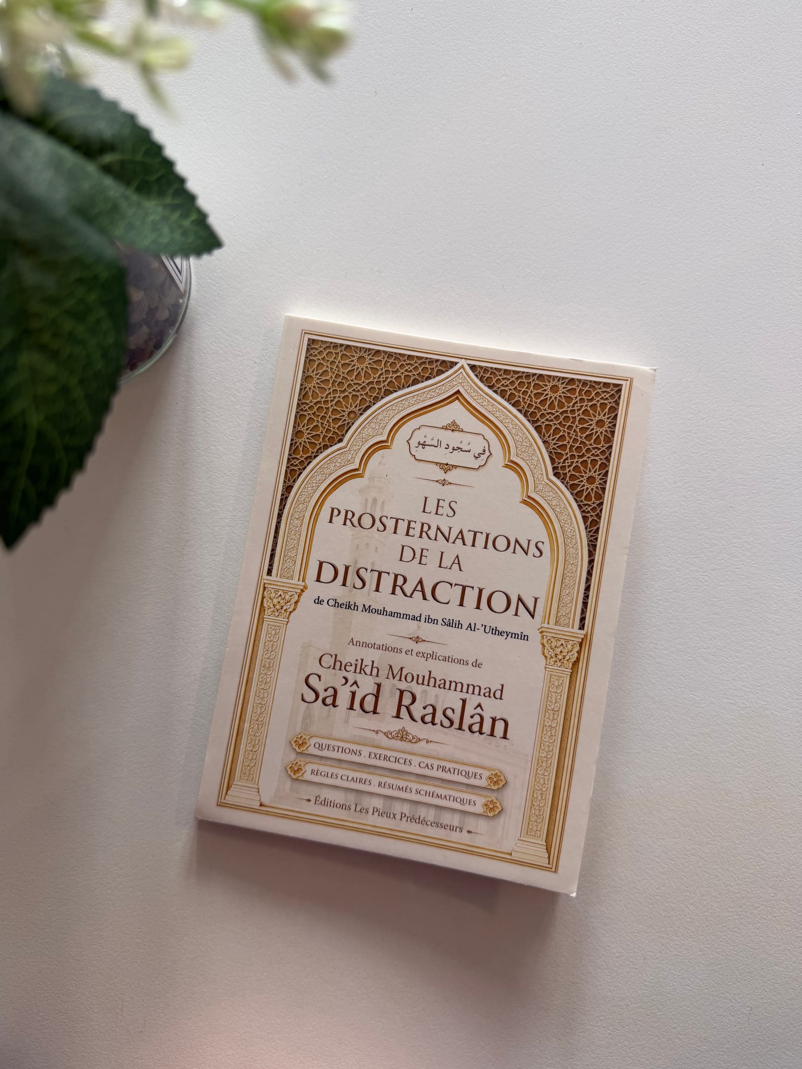 Les prosternations de la distraction  — Kitaberie, vue produit