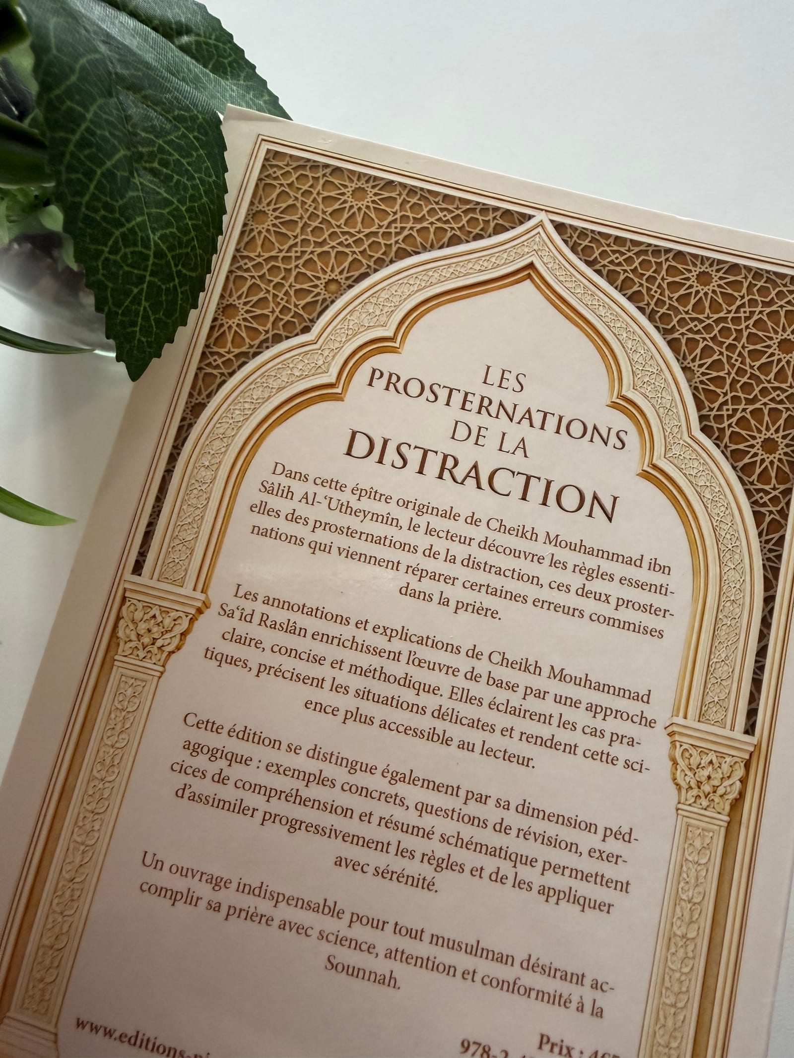 Les prosternations de la distraction  — Kitaberie, vue produit vue 2