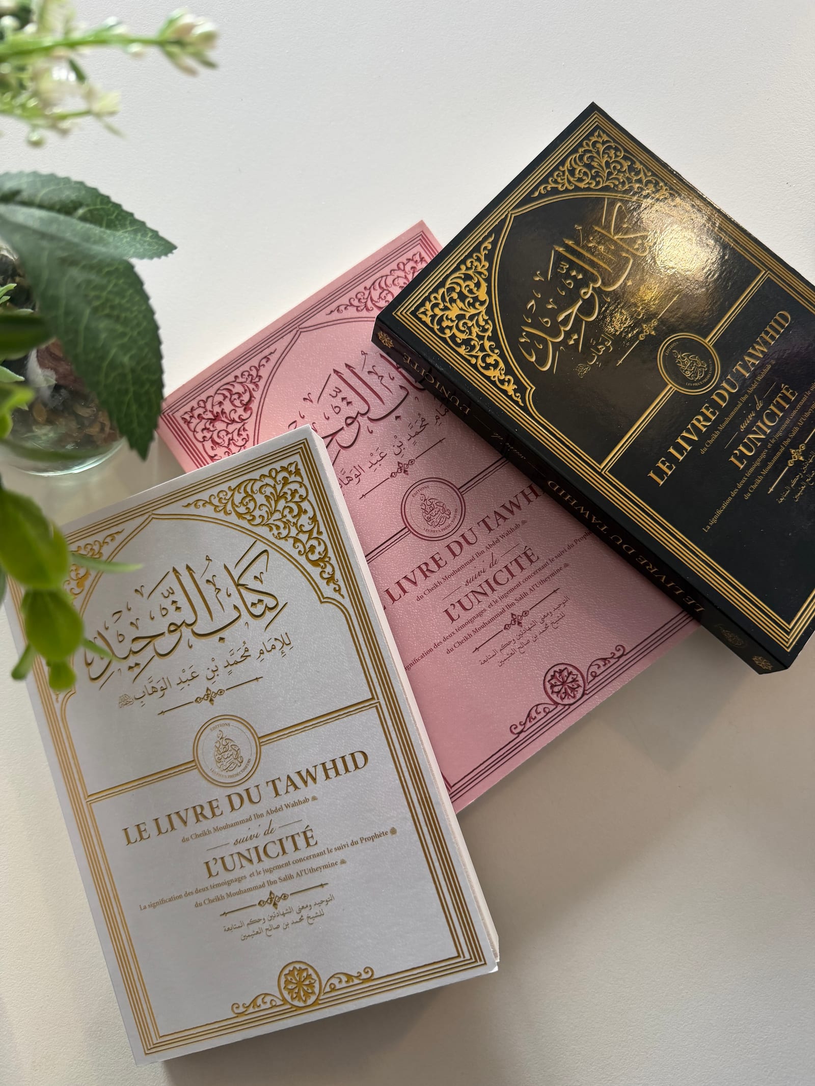 Le livre du Tawhid : Blanc (mini) — Kitaberie, vue produit vue 2