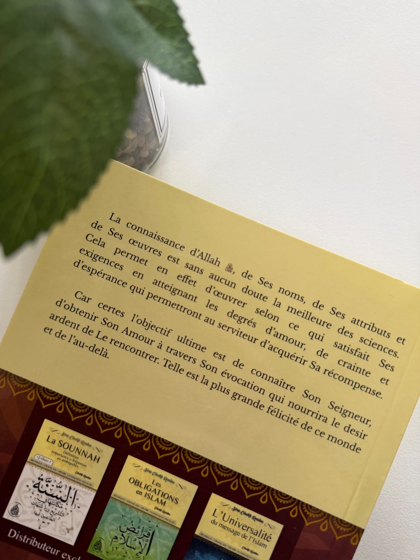 Les plus sublimes noms d’Allah ﷻ  — Kitaberie, vue produit vue 2