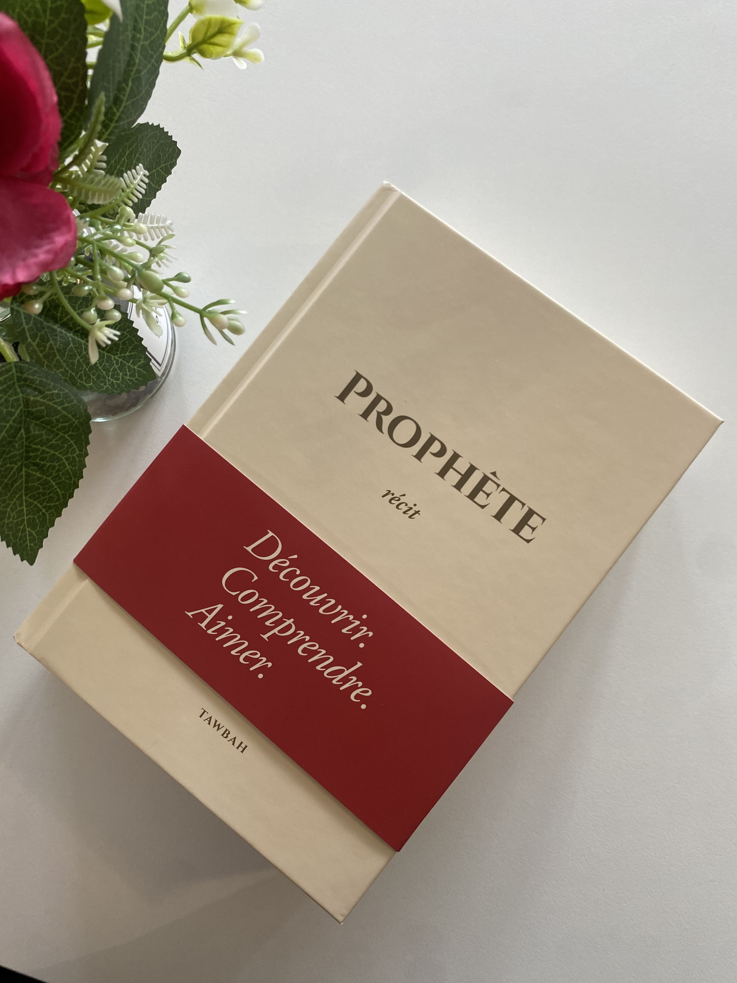 Les prosternations de la distraction — Kitaberie, vue produit