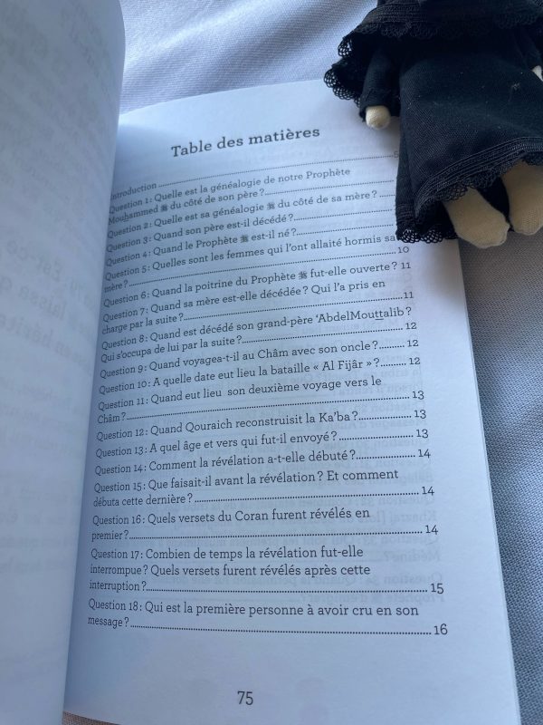 La vie du prophète - en question/réponses – Image 6