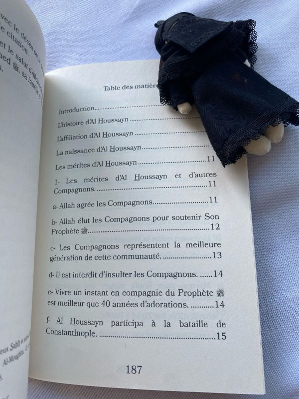 Le martyr d’Al houssayn – Image 5