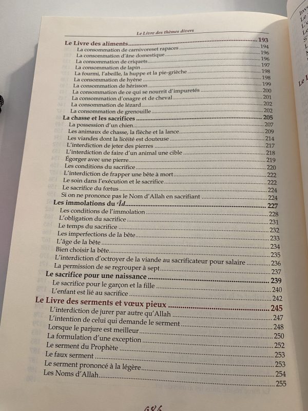 Commentaire de Boulough Al Marâm – Image 7