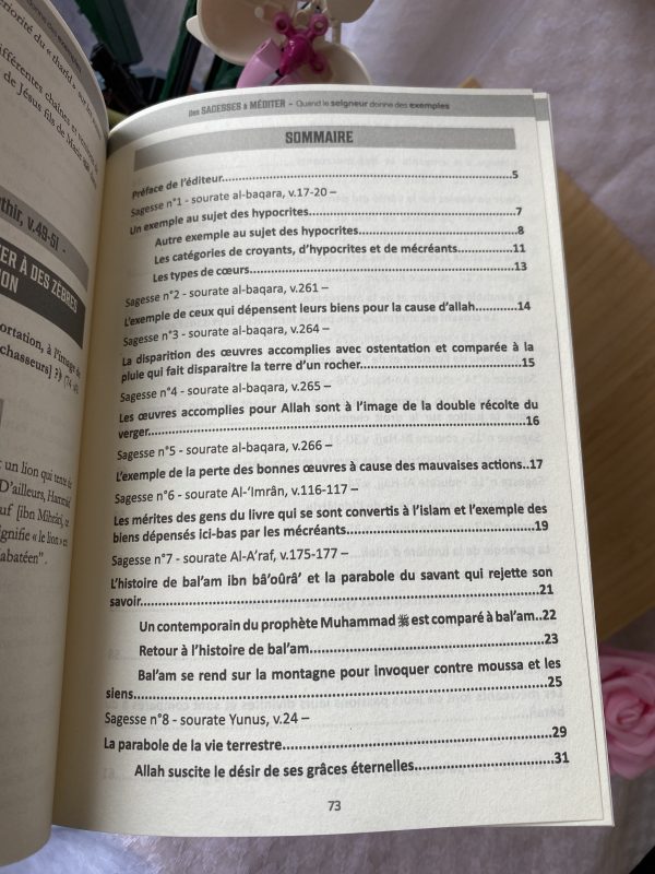 Des sagesses à méditer : quand le seigneur donne des exemples – Image 3