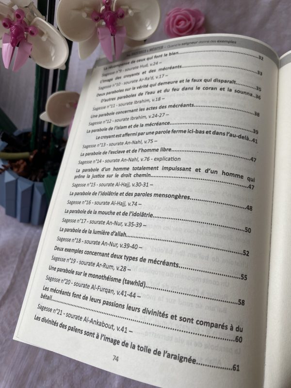 Des sagesses à méditer : quand le seigneur donne des exemples – Image 4