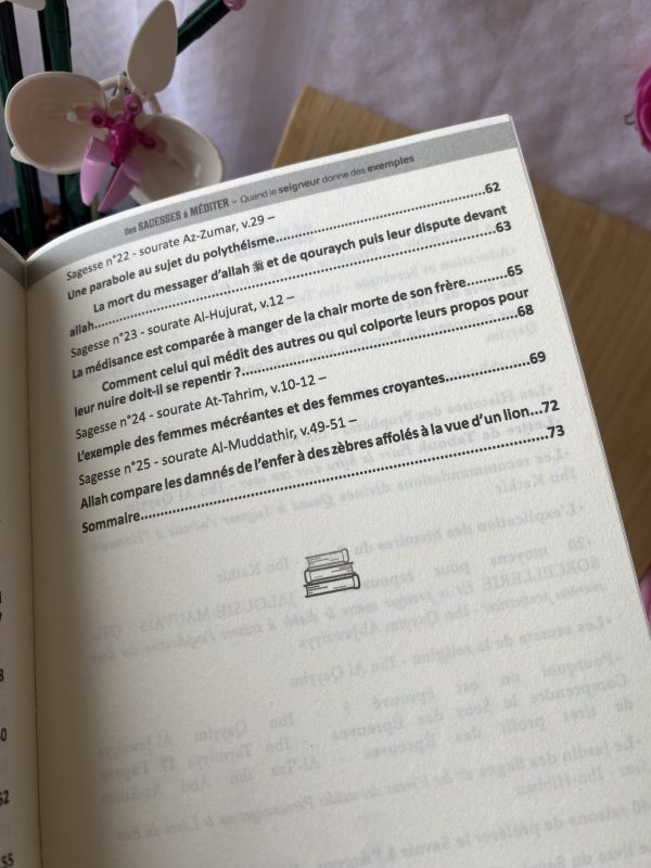 Des sagesses à méditer : quand le seigneur donne des exemples – Image 5