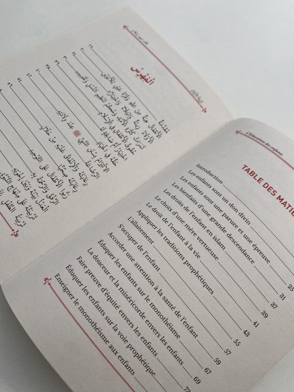 L’éducation des enfants – Image 3