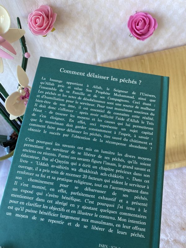 Comment délaisser les péchés ? – Image 4