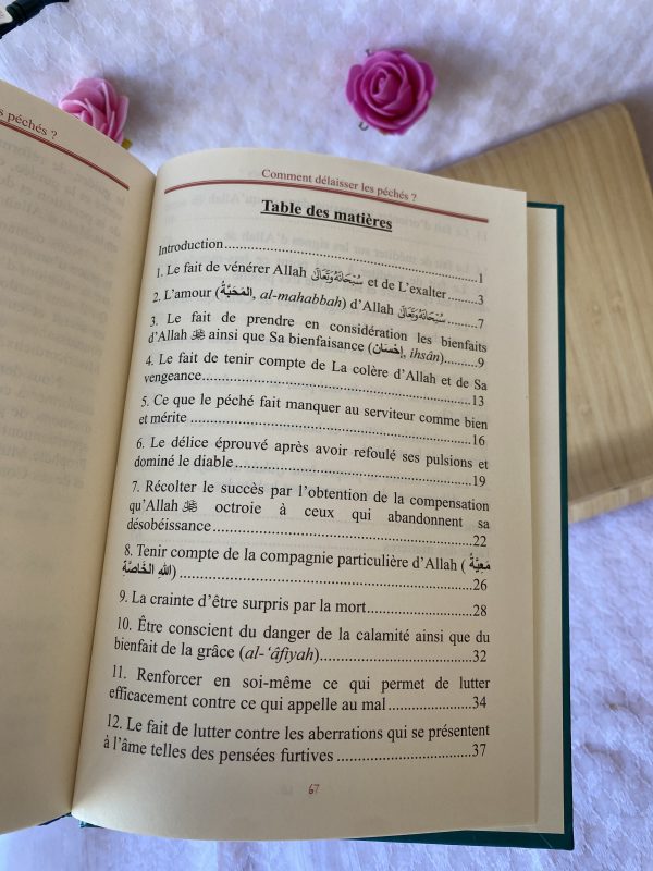 Comment délaisser les péchés ? – Image 2