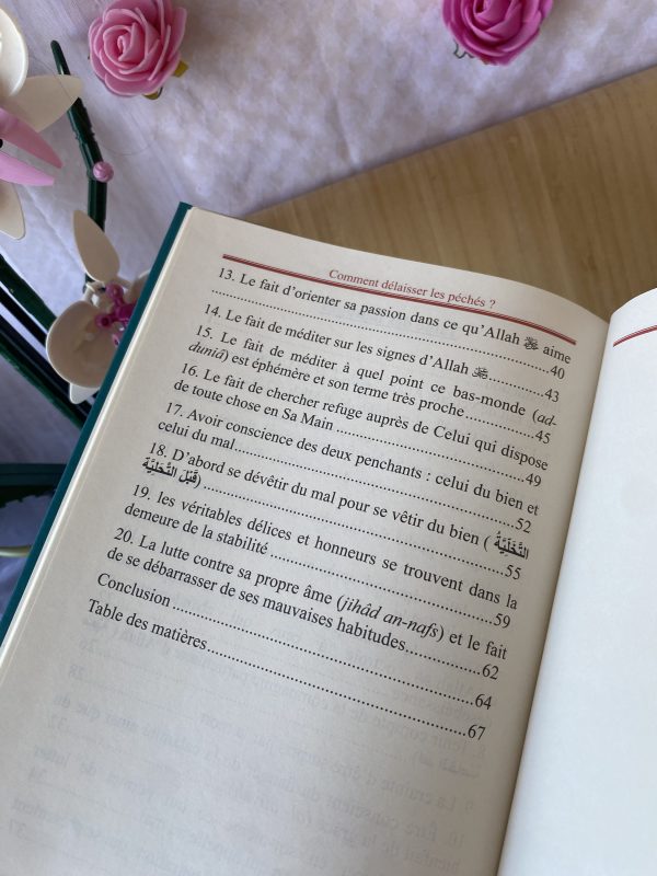 Comment délaisser les péchés ? – Image 3